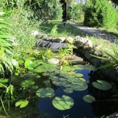 Bed & Breakfast Chambres D'Hotes Cottage Bellevue Cannes Exterior photo